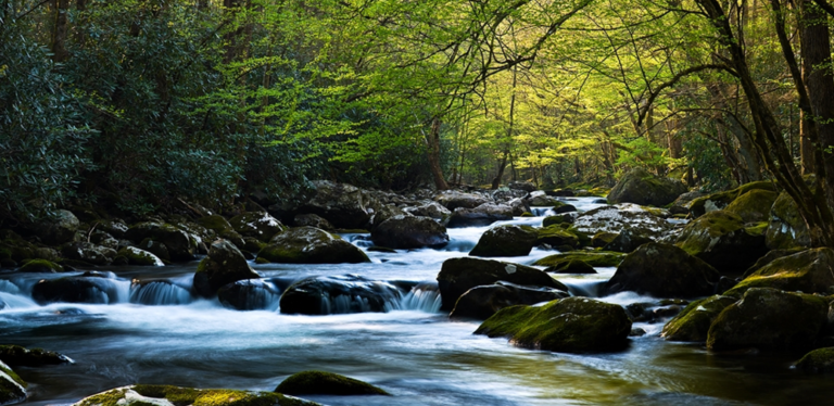 Estación inmóvil de Pablo Neruda