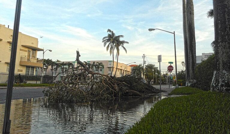 Madre Naturaleza: Huracán Irma y María