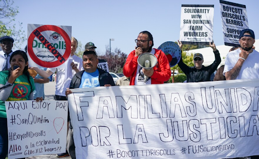 Las protestas de los obreros de campo de bayas