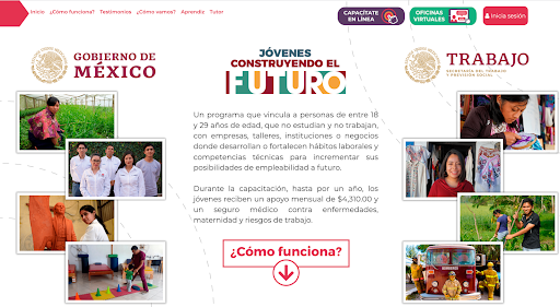 Los Ninis de México